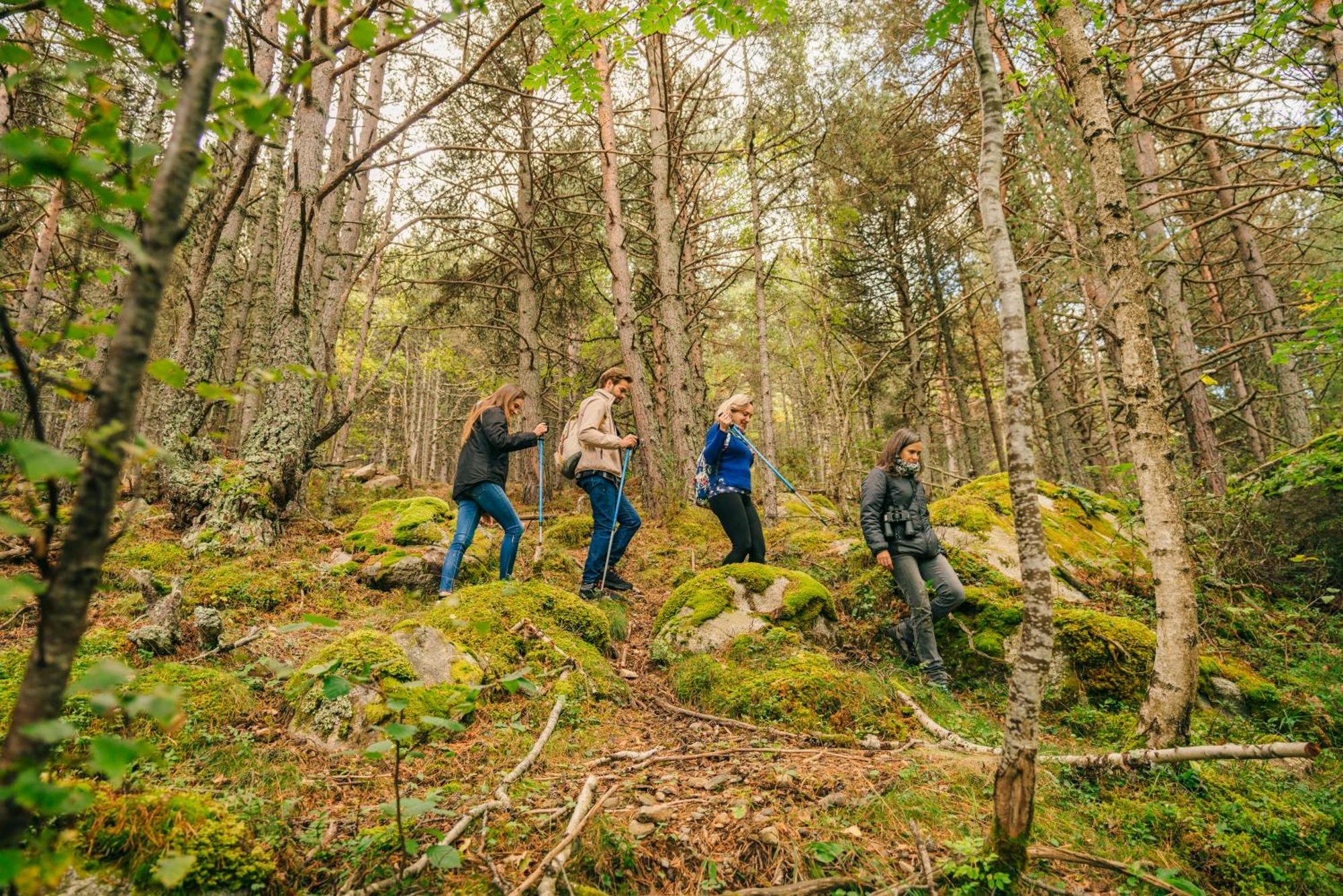 Monnatura Pirineus Son Del Pi Luaran gambar