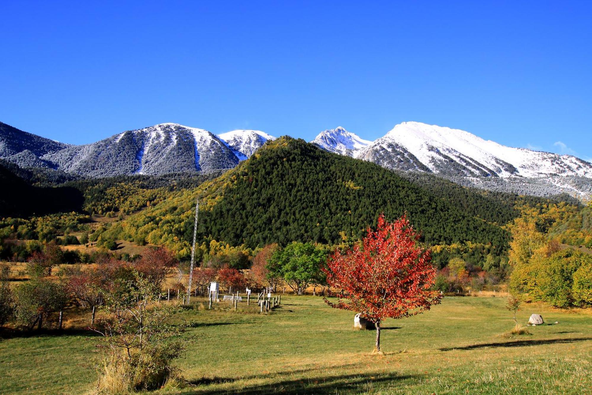 Monnatura Pirineus Son Del Pi Luaran gambar